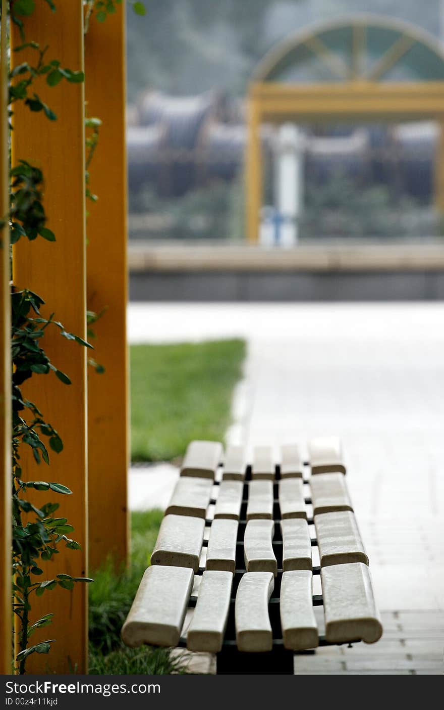 The summer in June, a bench in the garden.