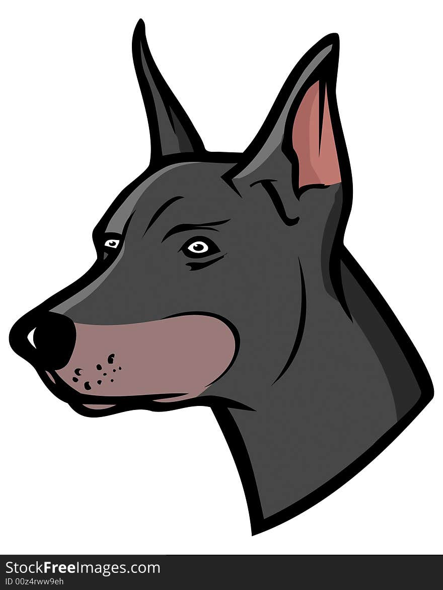 Doberman