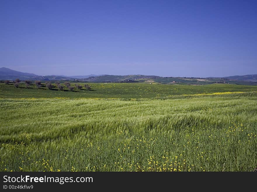 Val d orcia