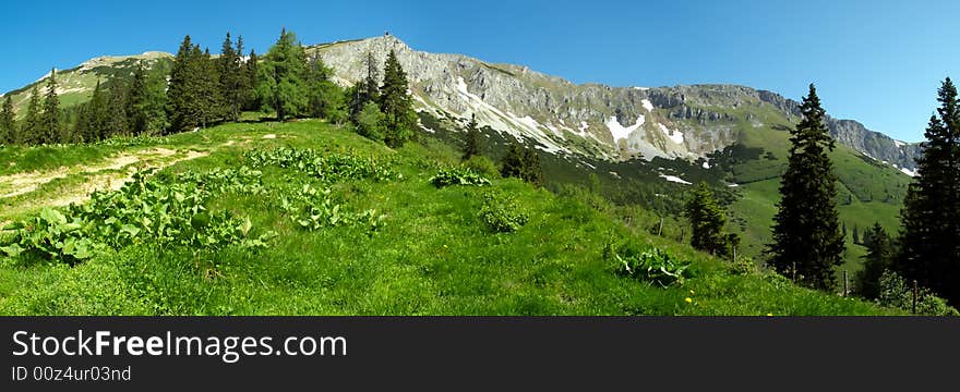 Veitsch, a mountain of the foothills of the Alps