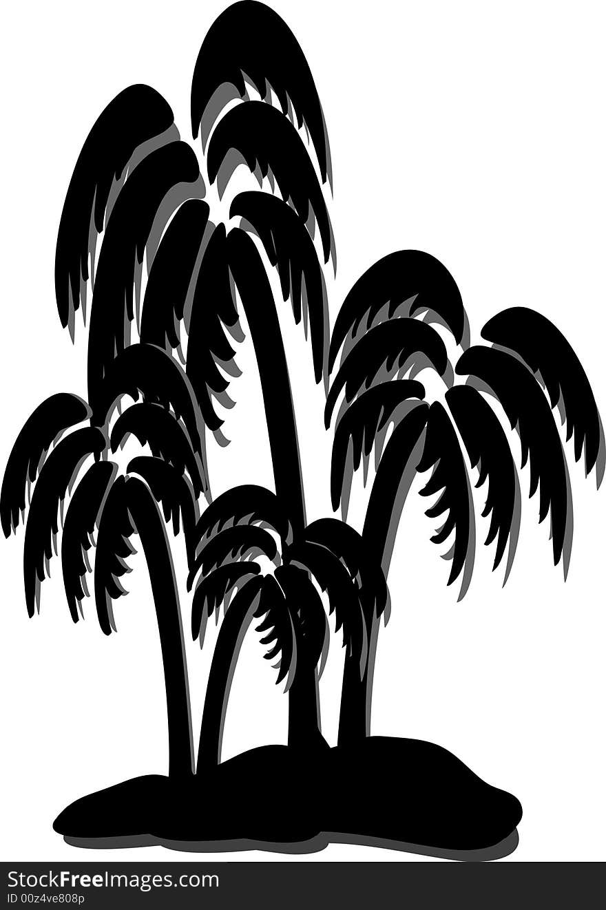 Coconut Tree