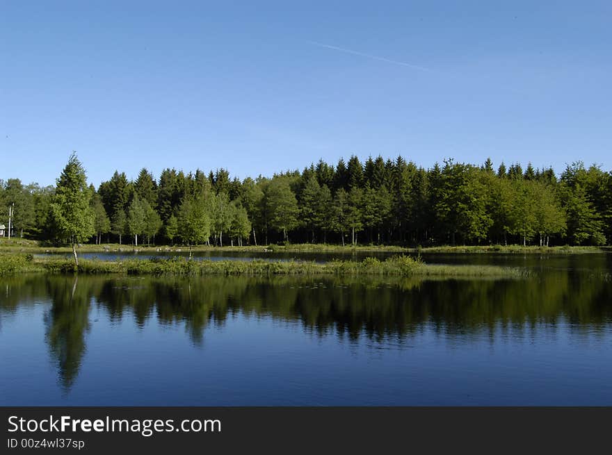 Sunny Lake With Trees Reflecting