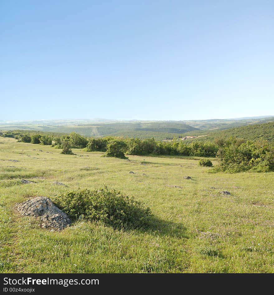 Countryside in summer