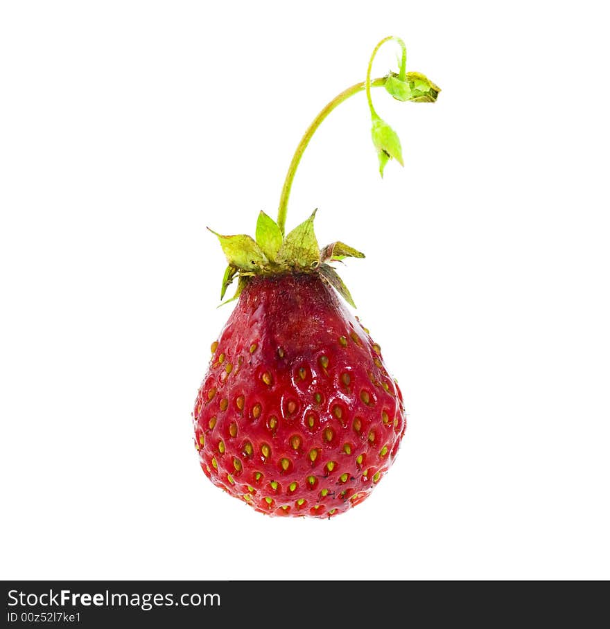 Ripe strawberry isolated on the white background