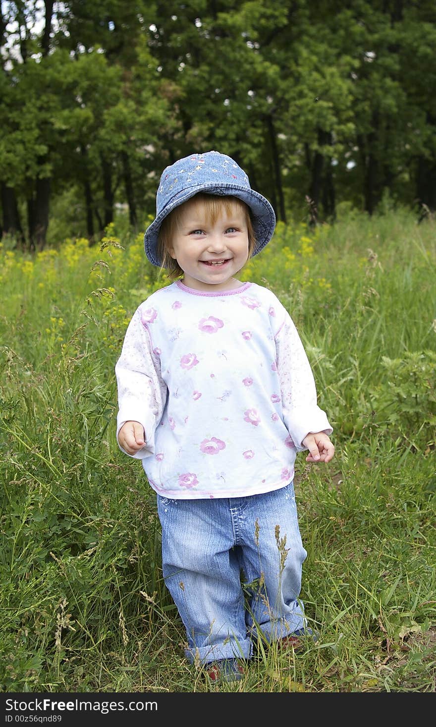 Cute little girl on a background of a landscape. Cute little girl on a background of a landscape