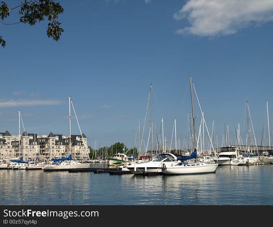 Sail Boat Yard