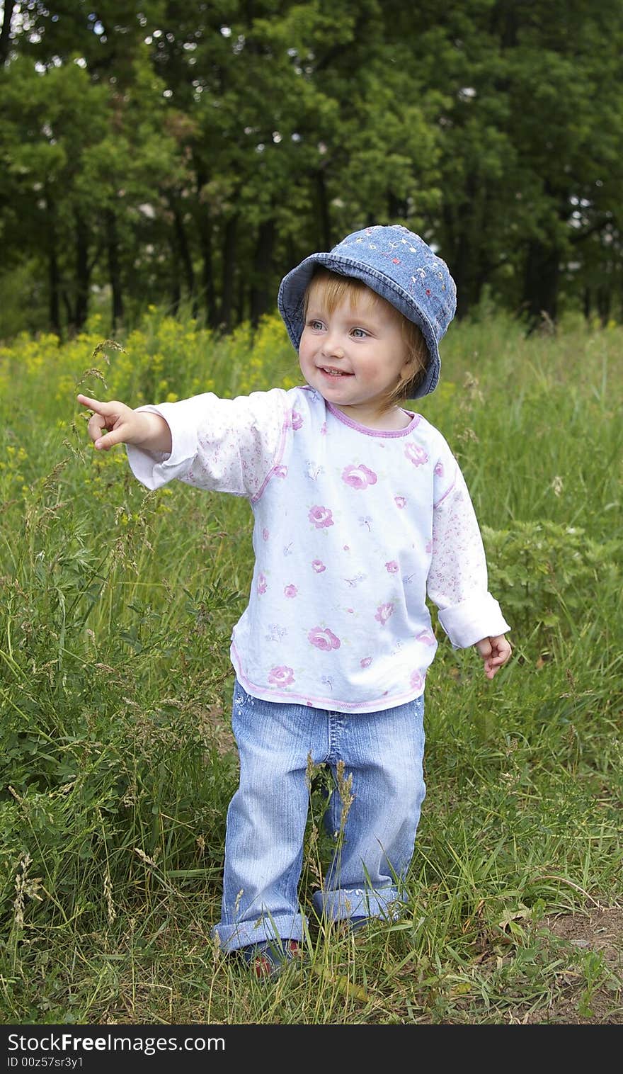 Cute little girl on a background of a landscape. Cute little girl on a background of a landscape