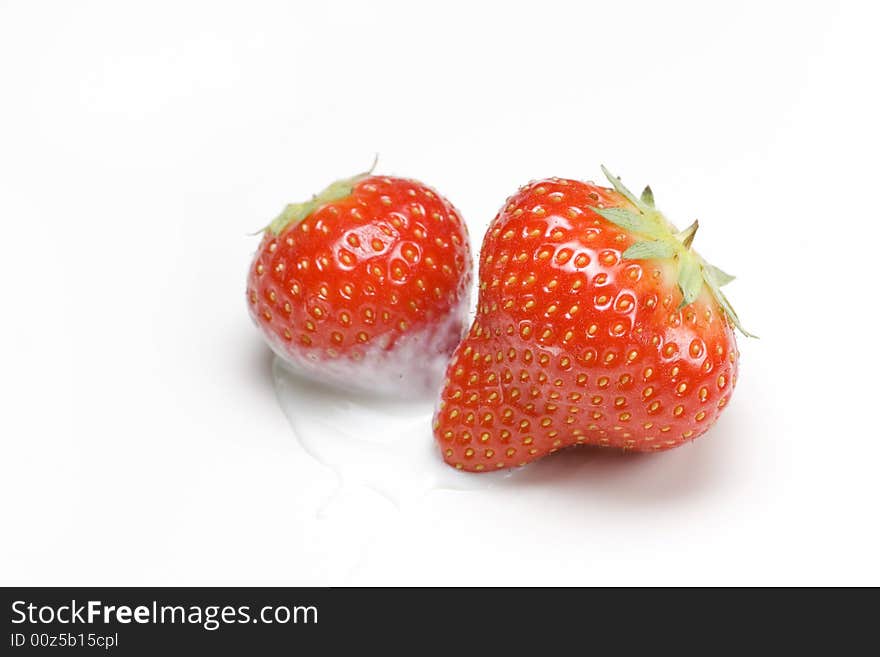 Red strawberries isolated on white dipped in yoghurt