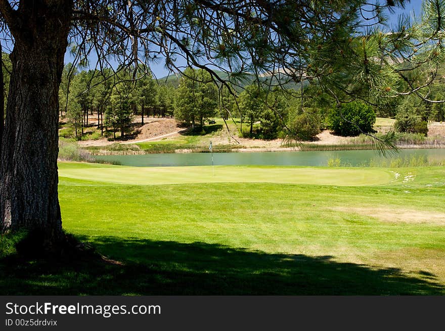 An image of a large tree's outline in front of a lush golf course. An image of a large tree's outline in front of a lush golf course