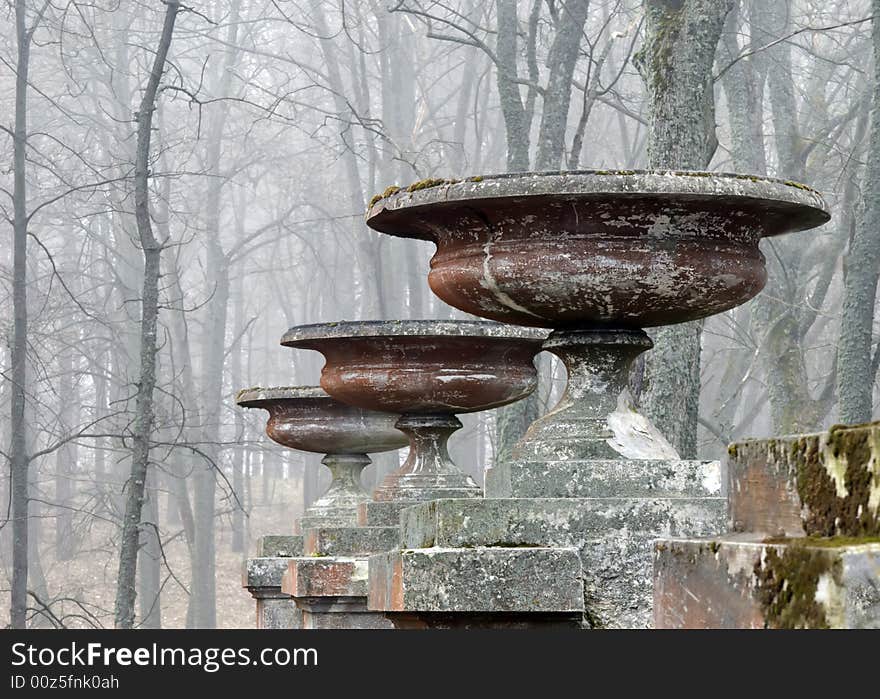 Morning fog in a wood.