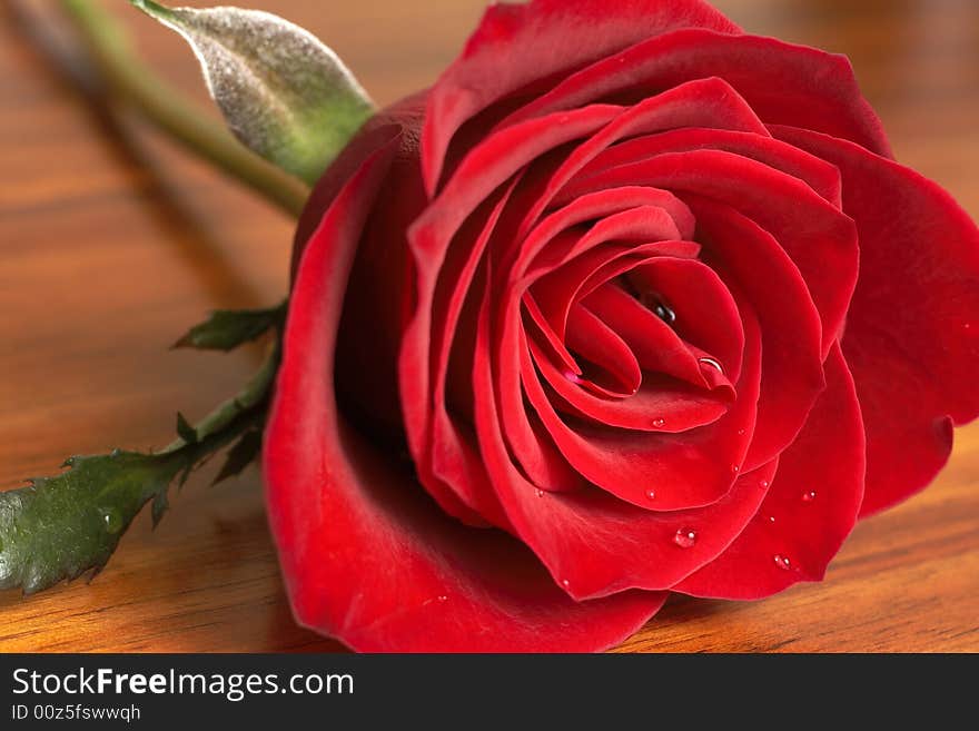 Dark Red Rose On Wooden Table