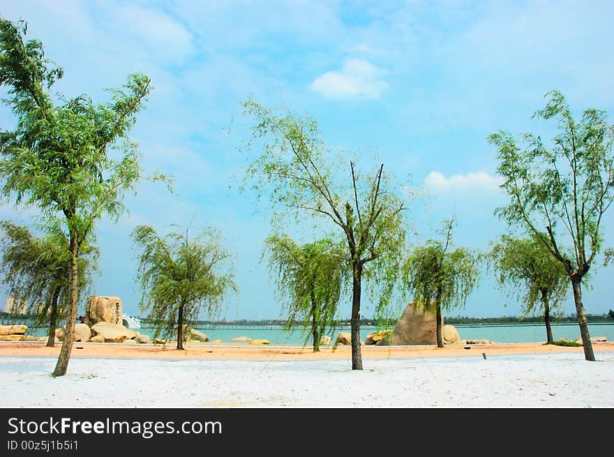 The cloud , trees and the lake of a park china. The cloud , trees and the lake of a park china.