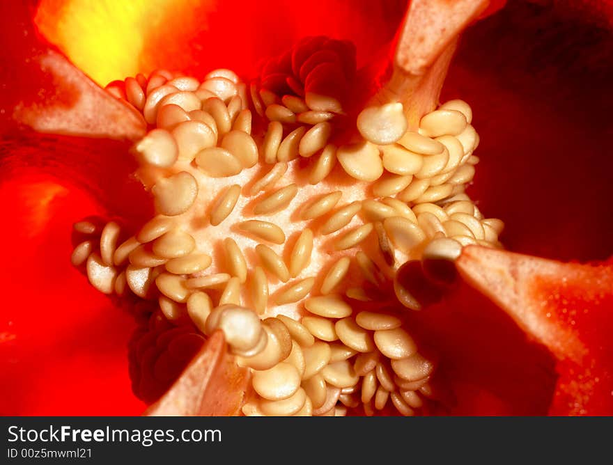 Sweet bulgarian pepper inside