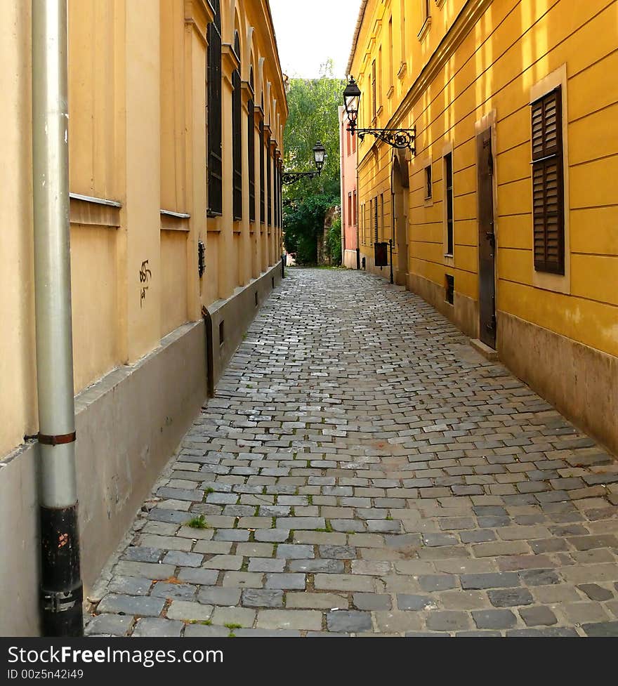 A cobblestone narrow street in Budapest Hungary with wrought iron old style street lamp. Tree in the back