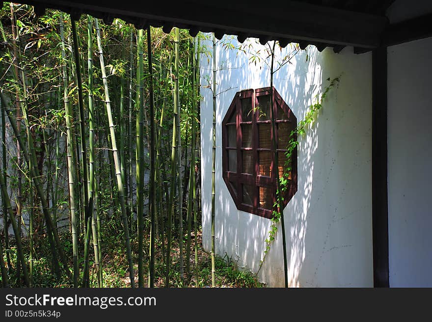 Corner of bamboo forest