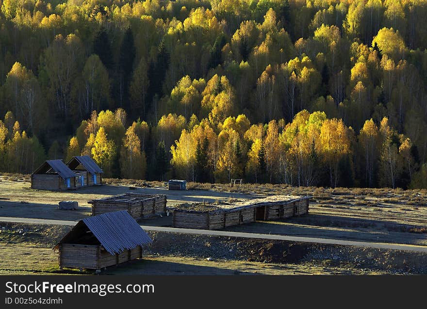 Wood Building In Landscape