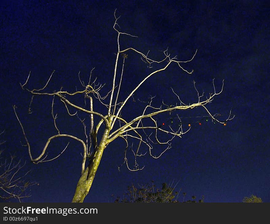 Tree with color lamps