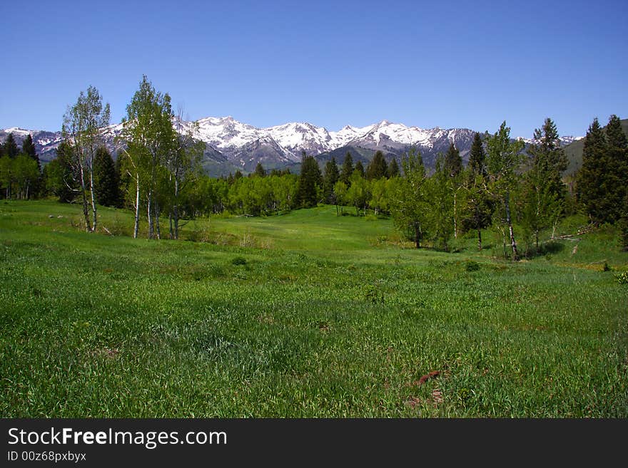 Mountain Spring