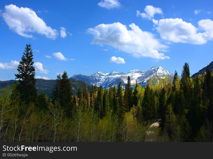 Mountain Spring