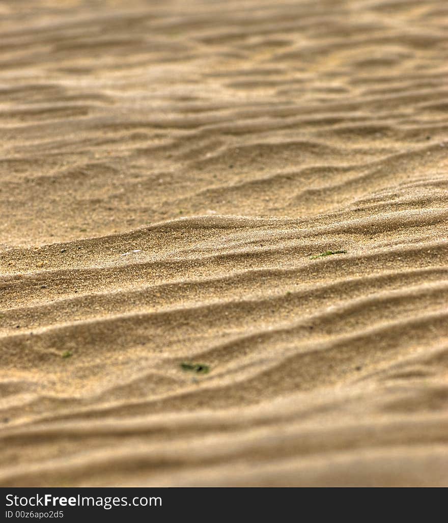 Sand Ripples