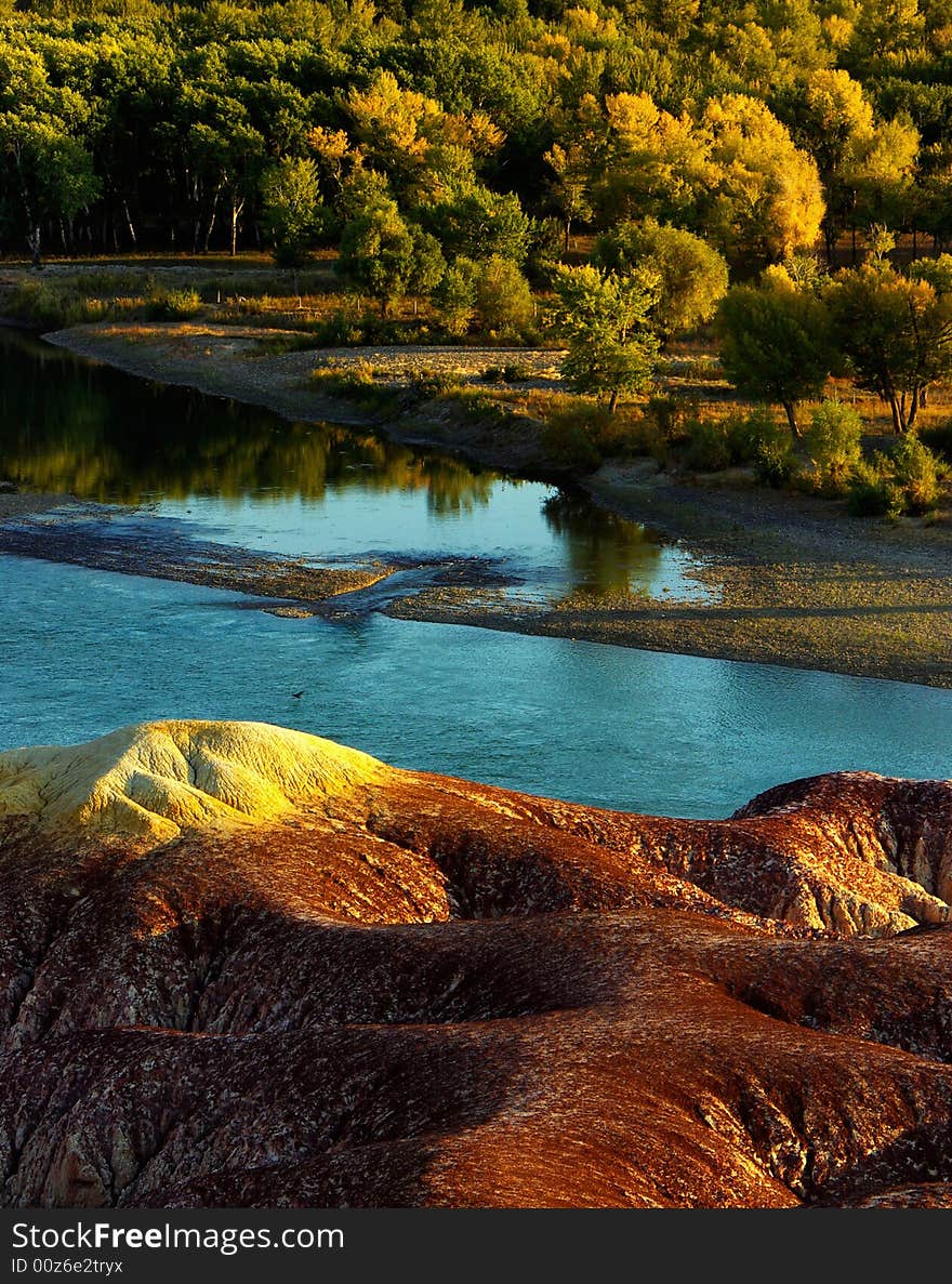 A forest by river in sunset