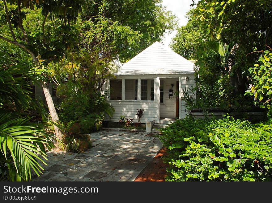 A small house surrounded by trees. A small house surrounded by trees