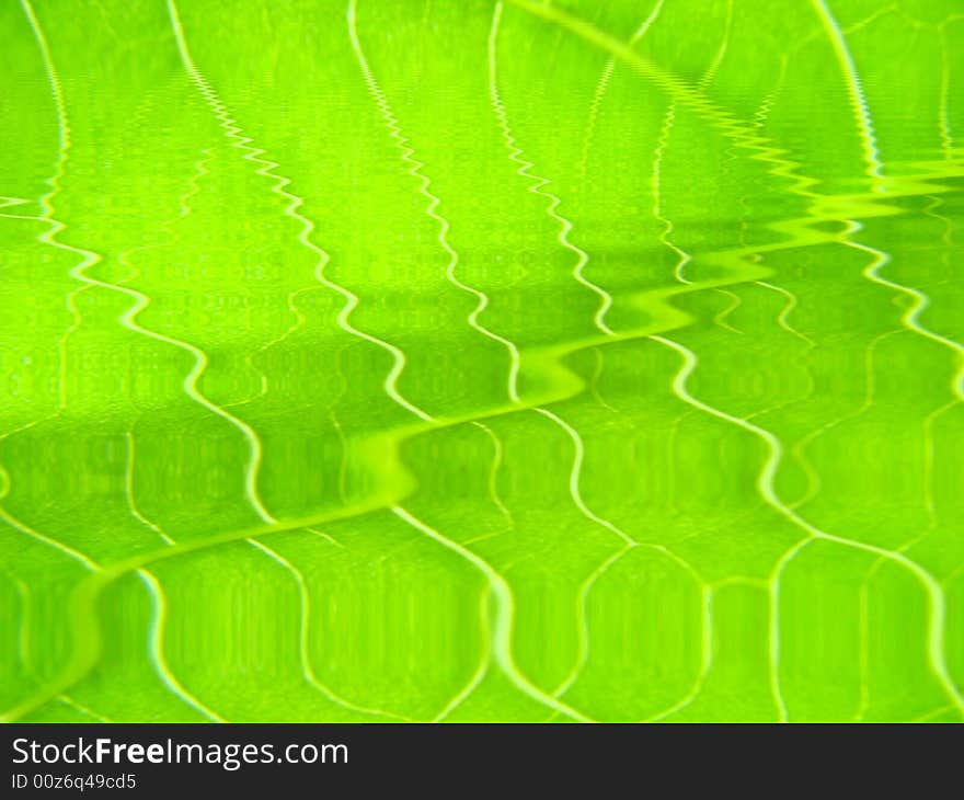 Green leaf macro vains bright