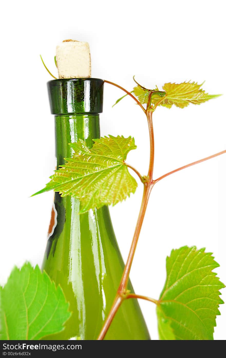 Wine bottle with young grape vine branch on white