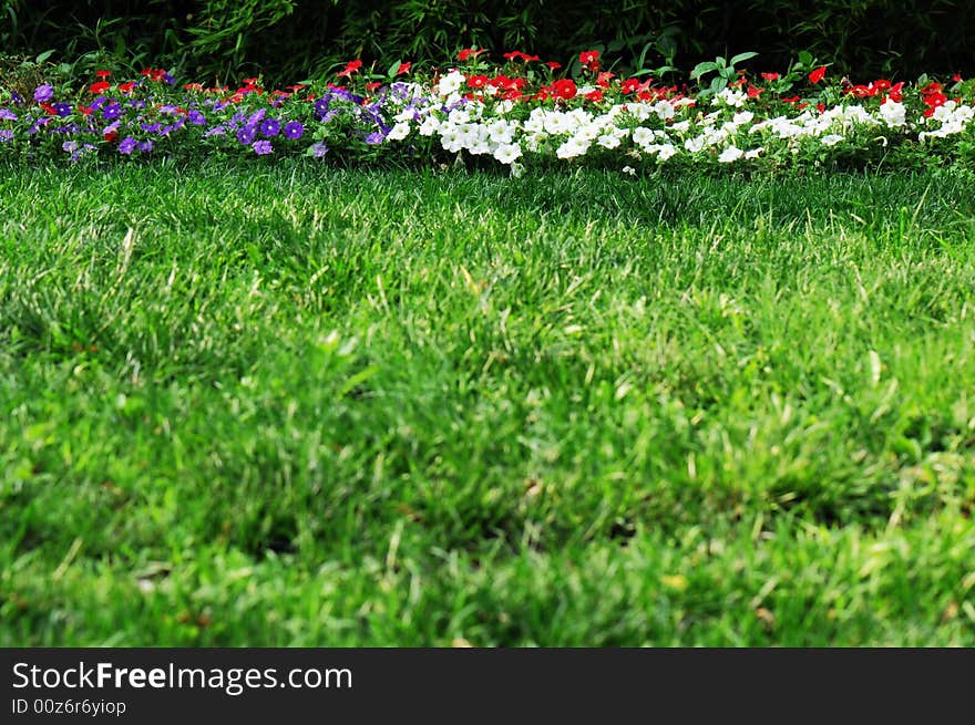 Gardern flowers and grass