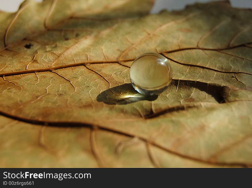 Macro photo of a maple leaf with glass Sphere