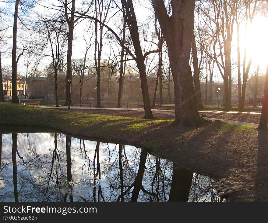 Sunlight coming through the trees and they are reflected on a small pond. Sunlight coming through the trees and they are reflected on a small pond