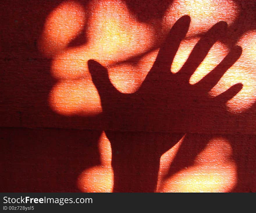 Hand shadow