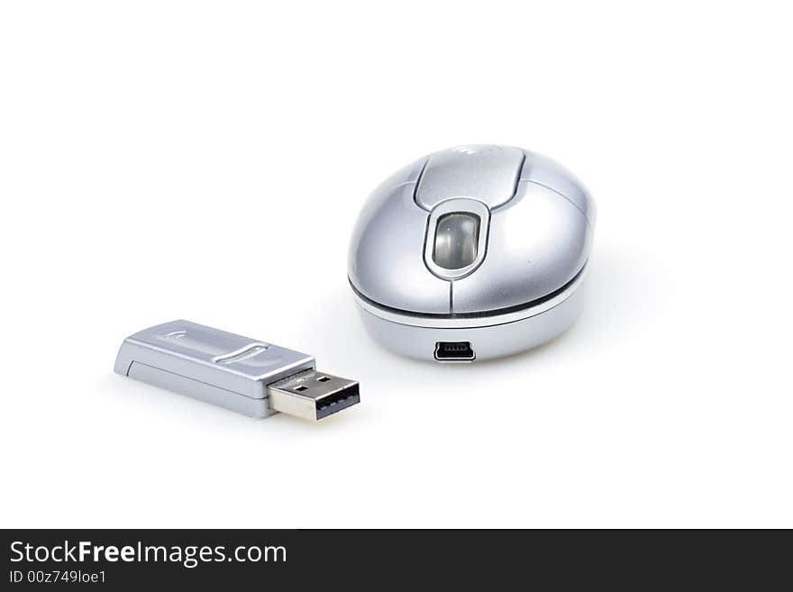 Portable Wireless Mouse