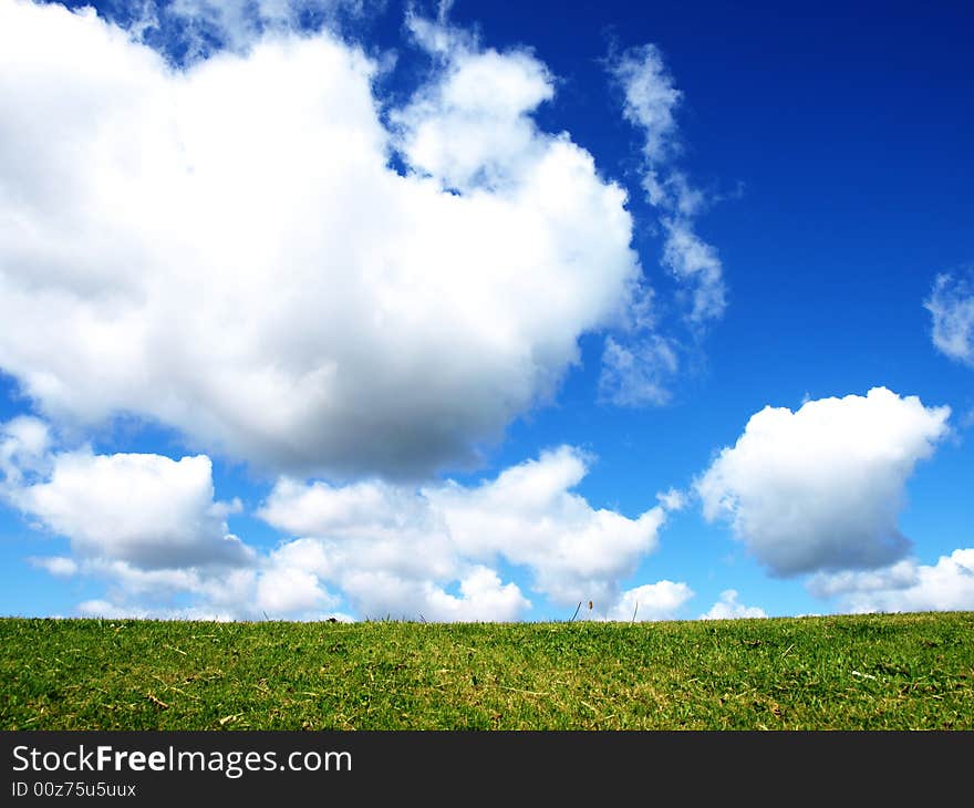 Green grass and cludy sky