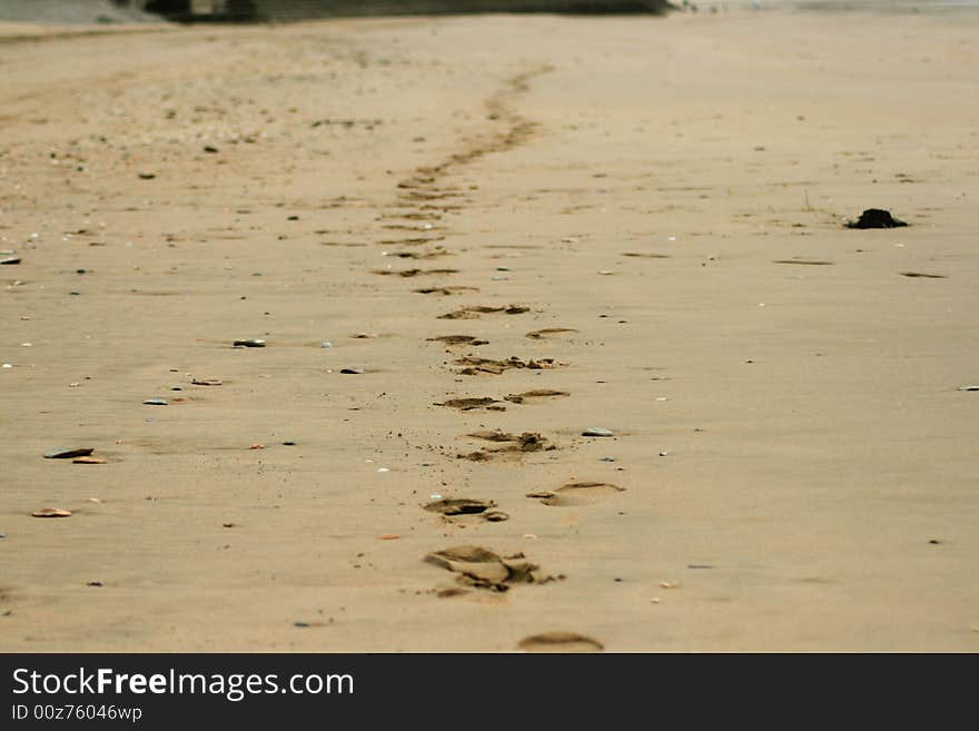 Trail of footprints in the sand