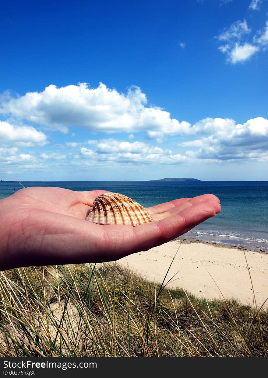 Shell at female hand on nature background. Shell at female hand on nature background