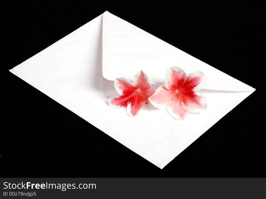 White envelope with red flowers on black background. White envelope with red flowers on black background