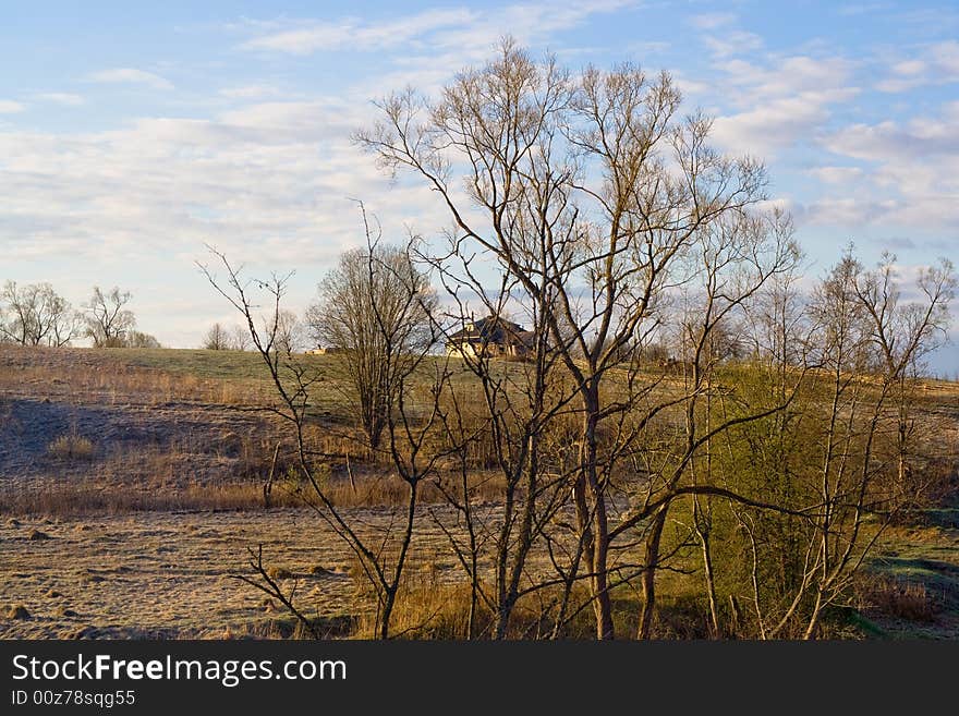 Non-urban lanscape with leafless trees, field and cottage. Non-urban lanscape with leafless trees, field and cottage