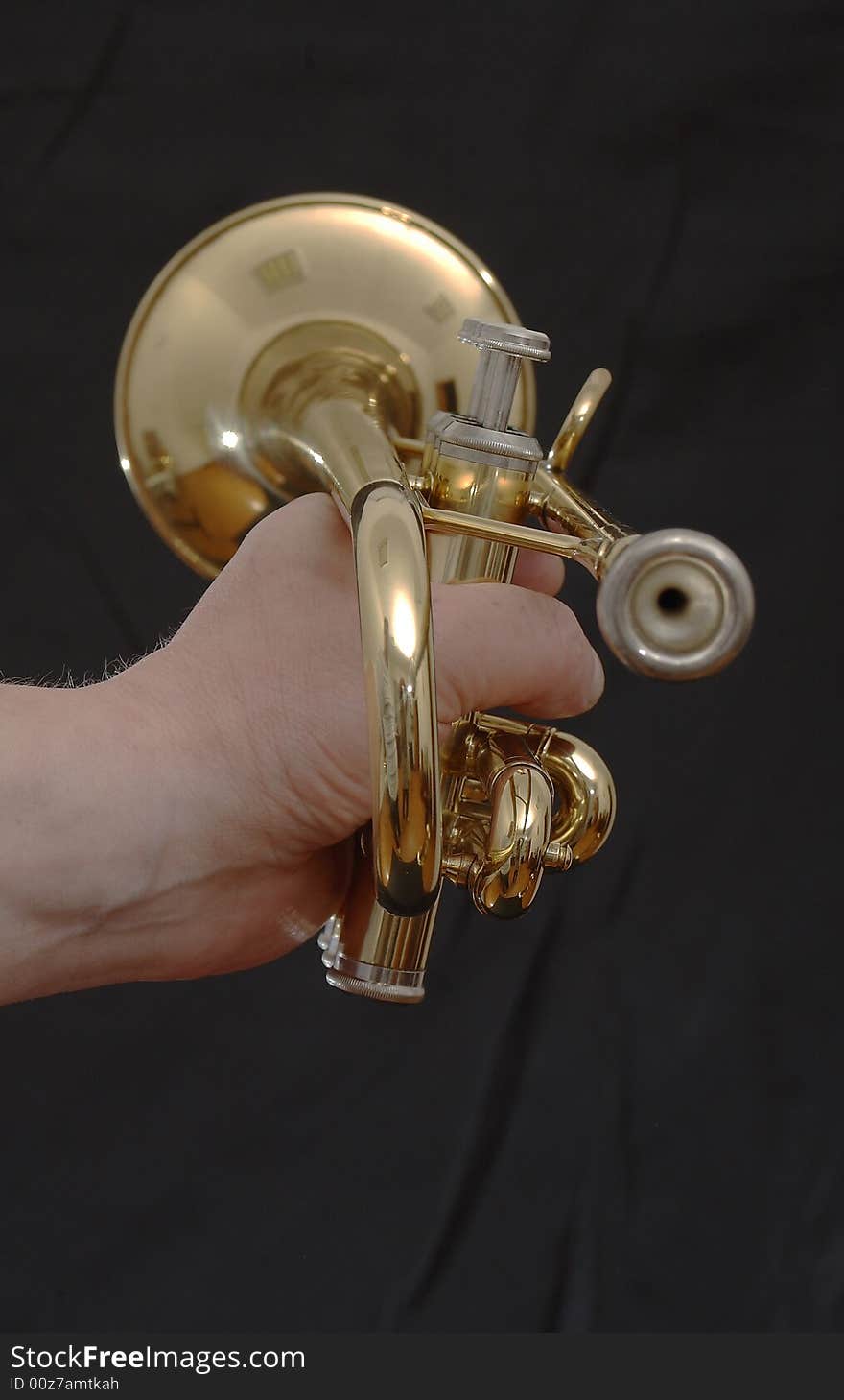 The hand holds a wind instrument of gold colour on a black background. The hand holds a wind instrument of gold colour on a black background