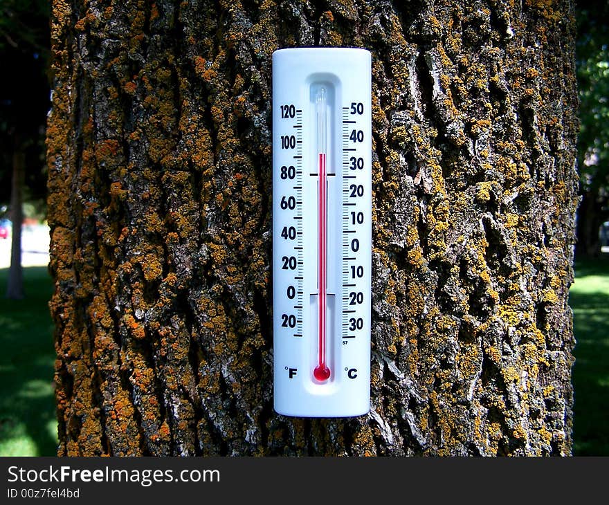 A tree trunk pictured with a thermometer attached. Image is designed to invoke thoughts of global climate change and environmental impact. A tree trunk pictured with a thermometer attached. Image is designed to invoke thoughts of global climate change and environmental impact.