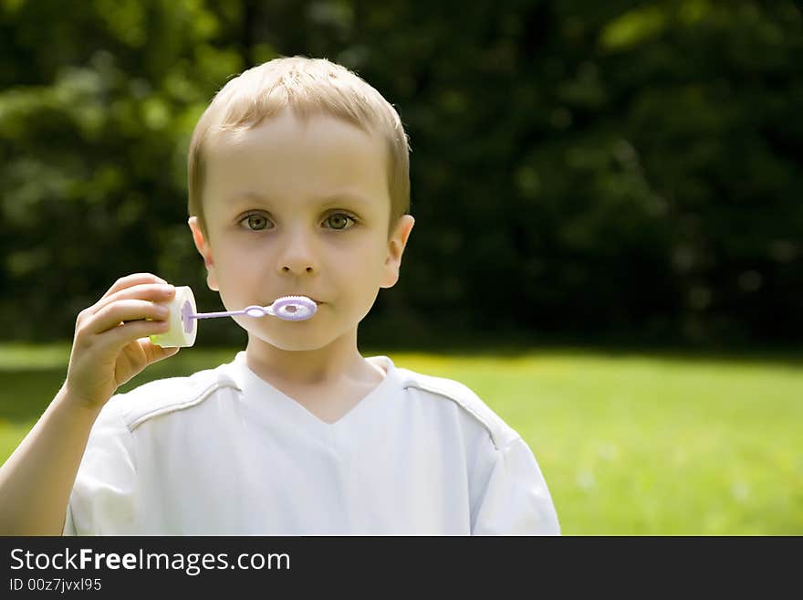 The Boy Blowing Soap Bubbles. The Boy Blowing Soap Bubbles