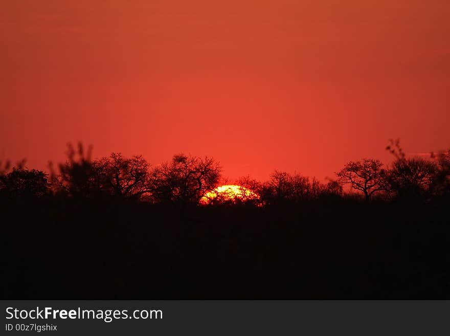 Sunset in Sabi Sands