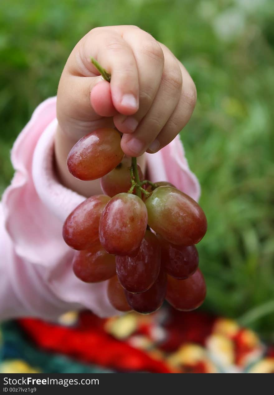 Kid s Hand with Grape