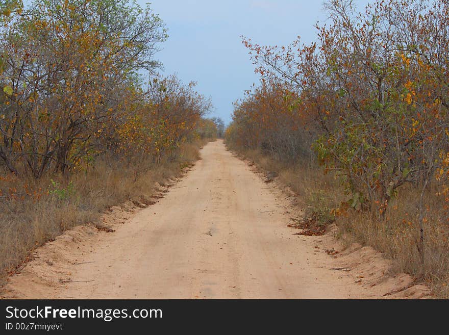 Safari Road