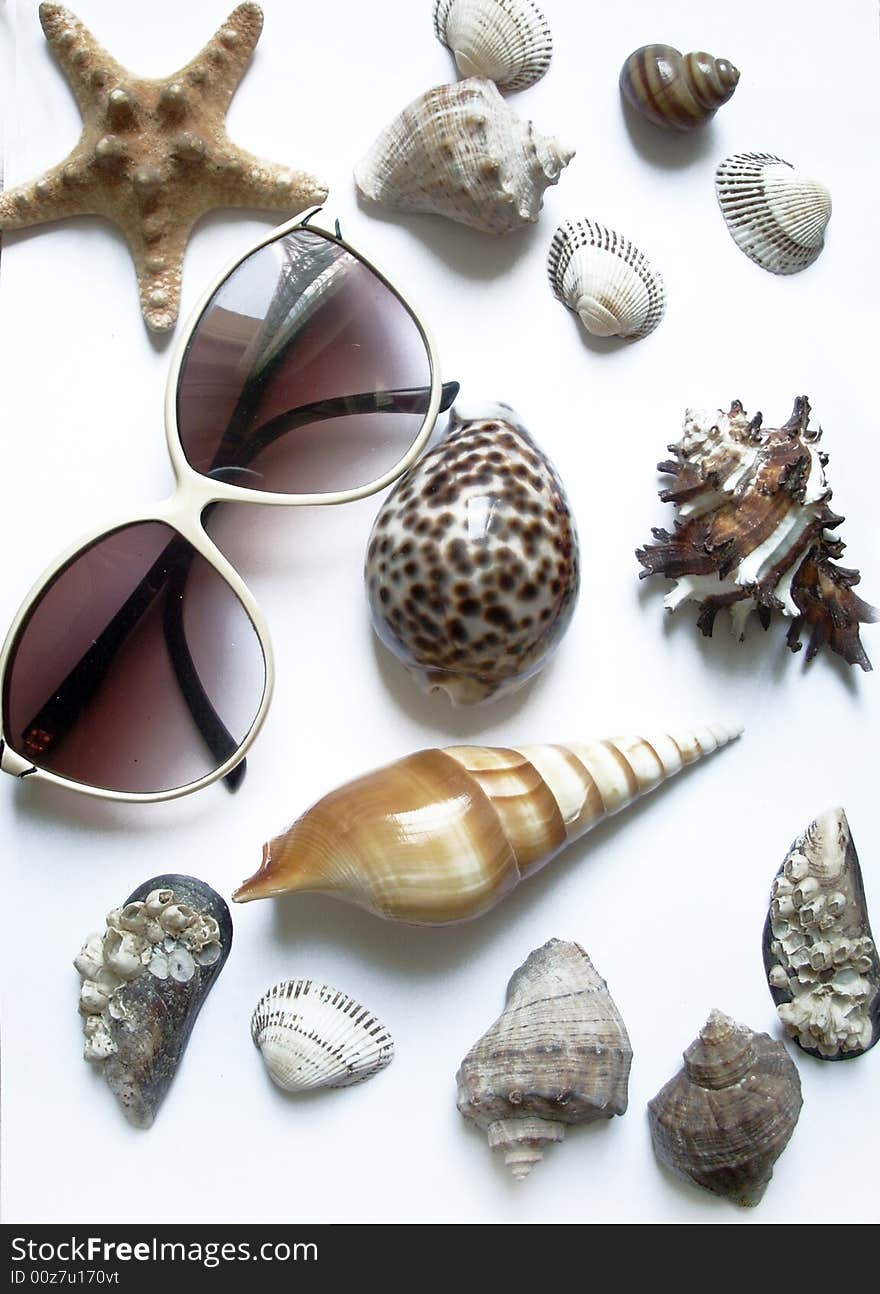 A photograph of solar glasses and different seashells. Summer, vacation concept