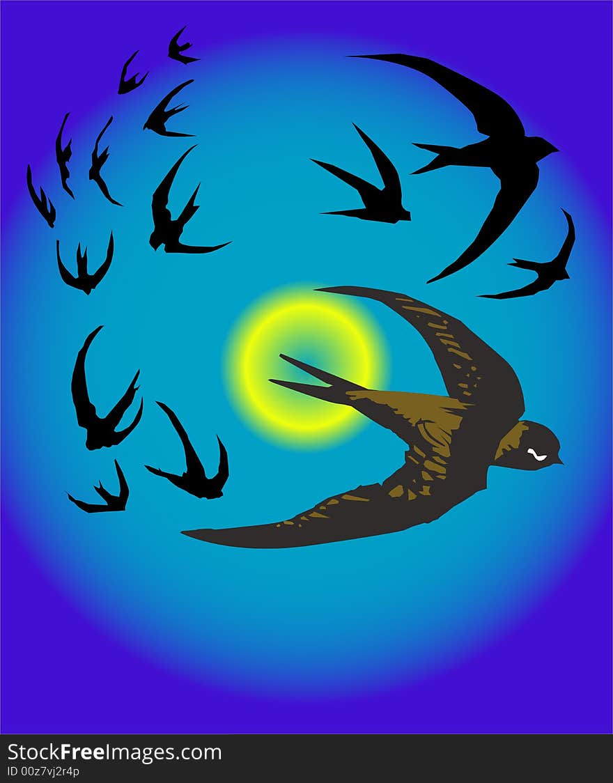 This is the vector illustration of flying birds. This is the vector illustration of flying birds