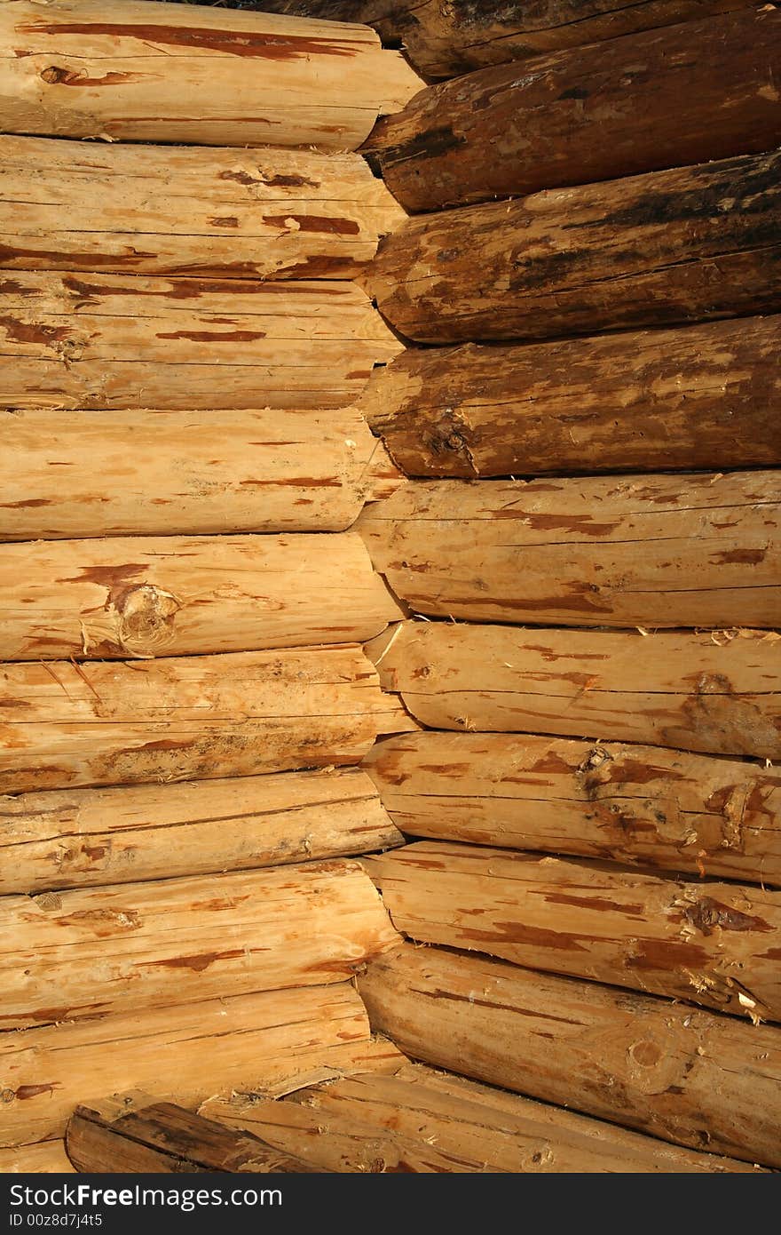 corner of timbered felling of pine. corner of timbered felling of pine