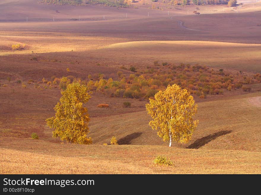 Autumn