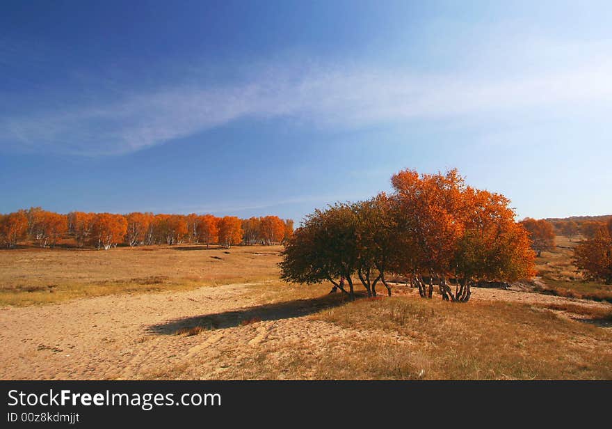 Autumn