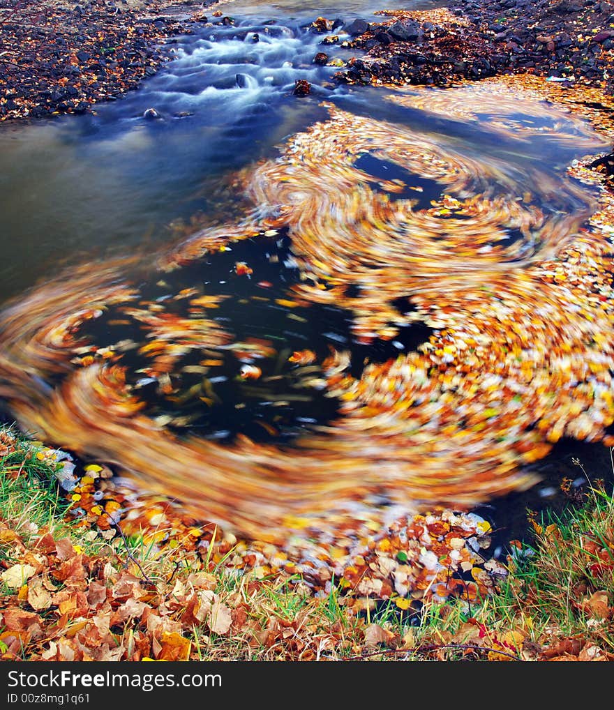 Autumn water